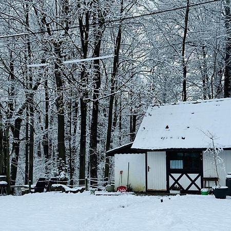 Romantyczna Chatka Pisarzowice  ภายนอก รูปภาพ