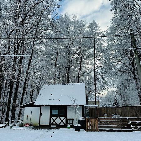 Romantyczna Chatka Pisarzowice  ภายนอก รูปภาพ