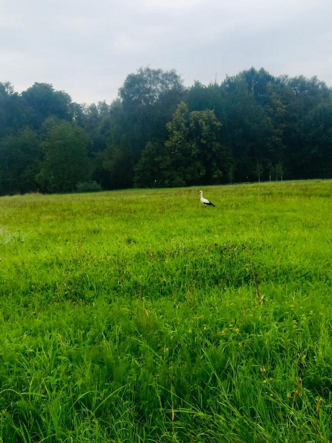 Romantyczna Chatka Pisarzowice  ภายนอก รูปภาพ