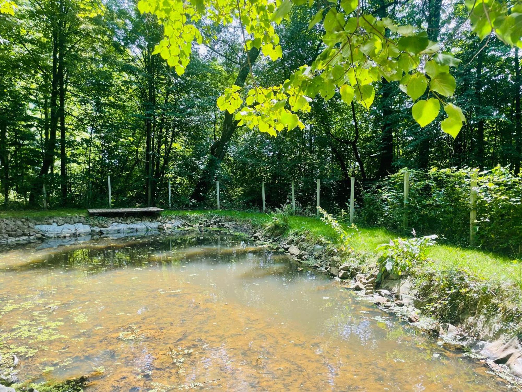 Romantyczna Chatka Pisarzowice  ภายนอก รูปภาพ