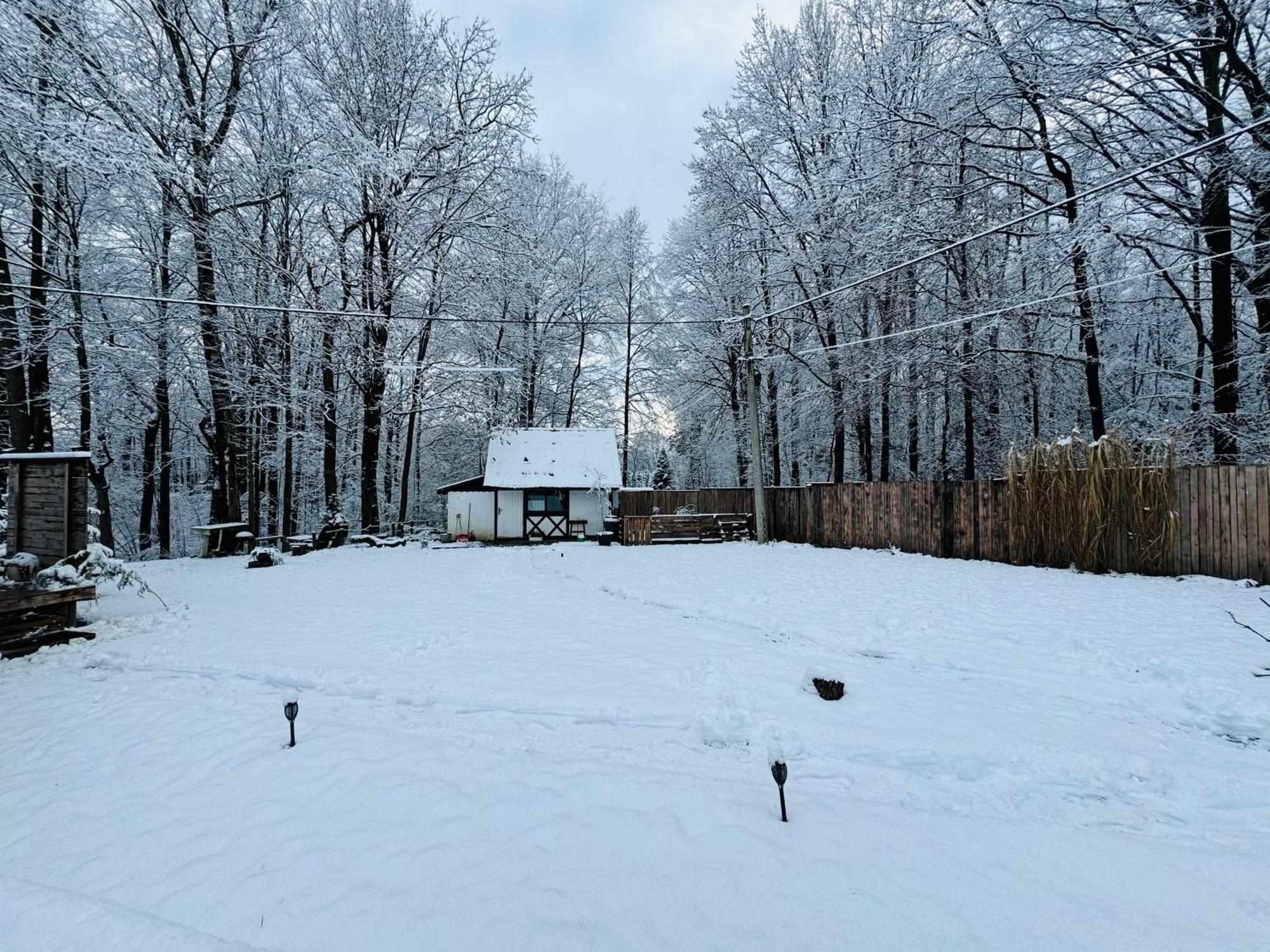 Romantyczna Chatka Pisarzowice  ภายนอก รูปภาพ