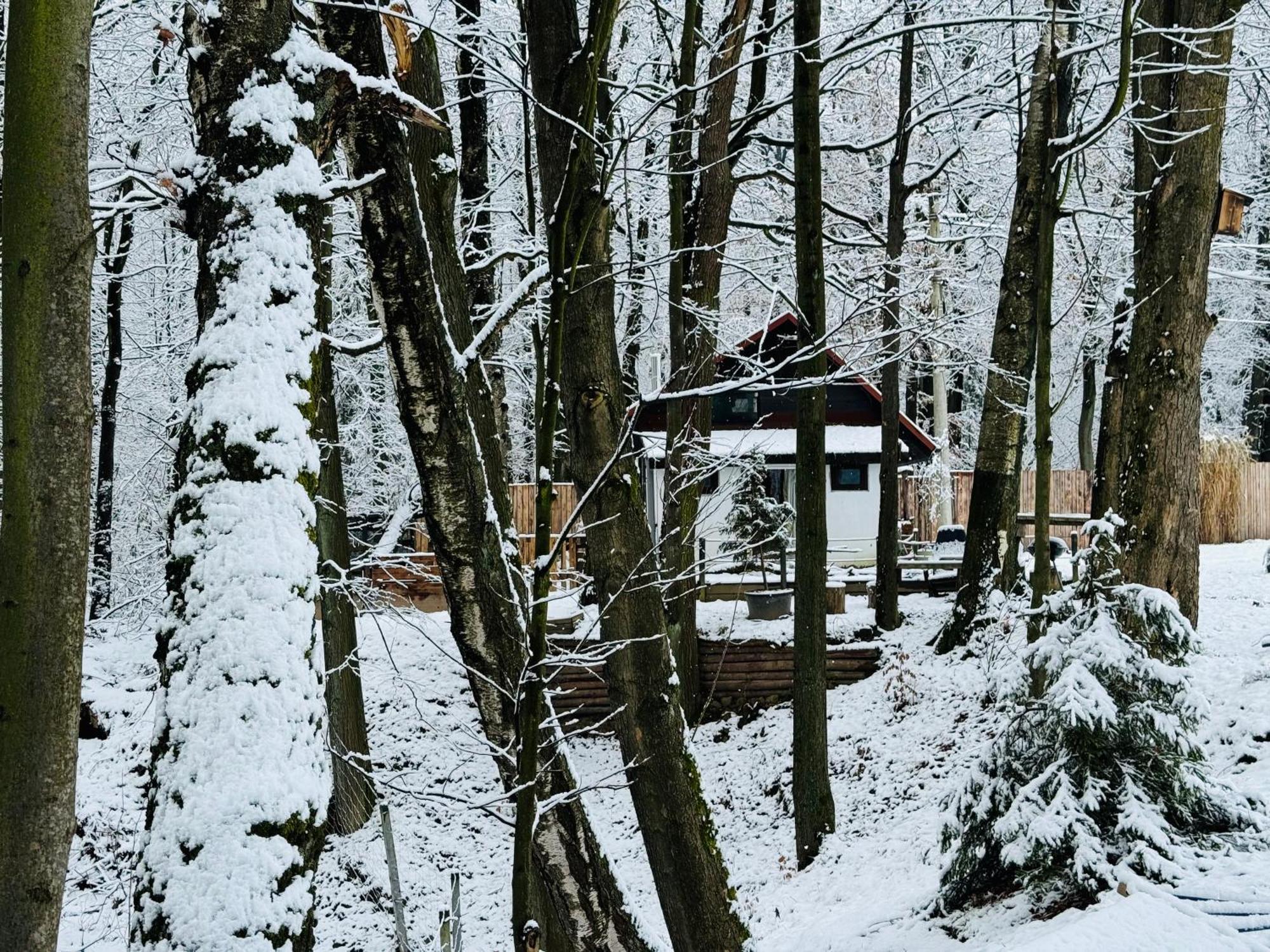 Romantyczna Chatka Pisarzowice  ภายนอก รูปภาพ
